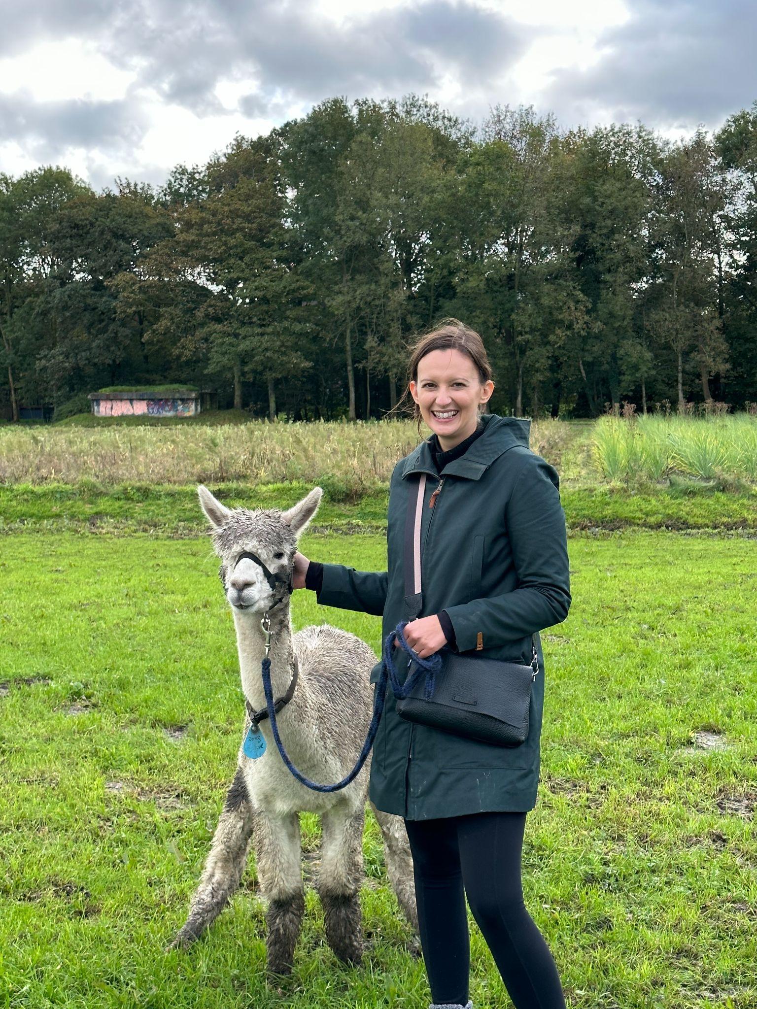 Alpaca Experience, Netherlands