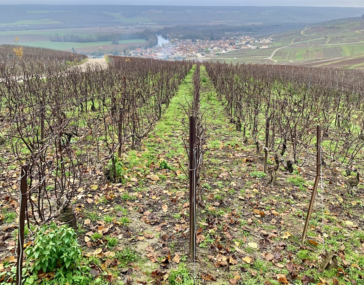 Vineyards and countryside in the Champagne region of France