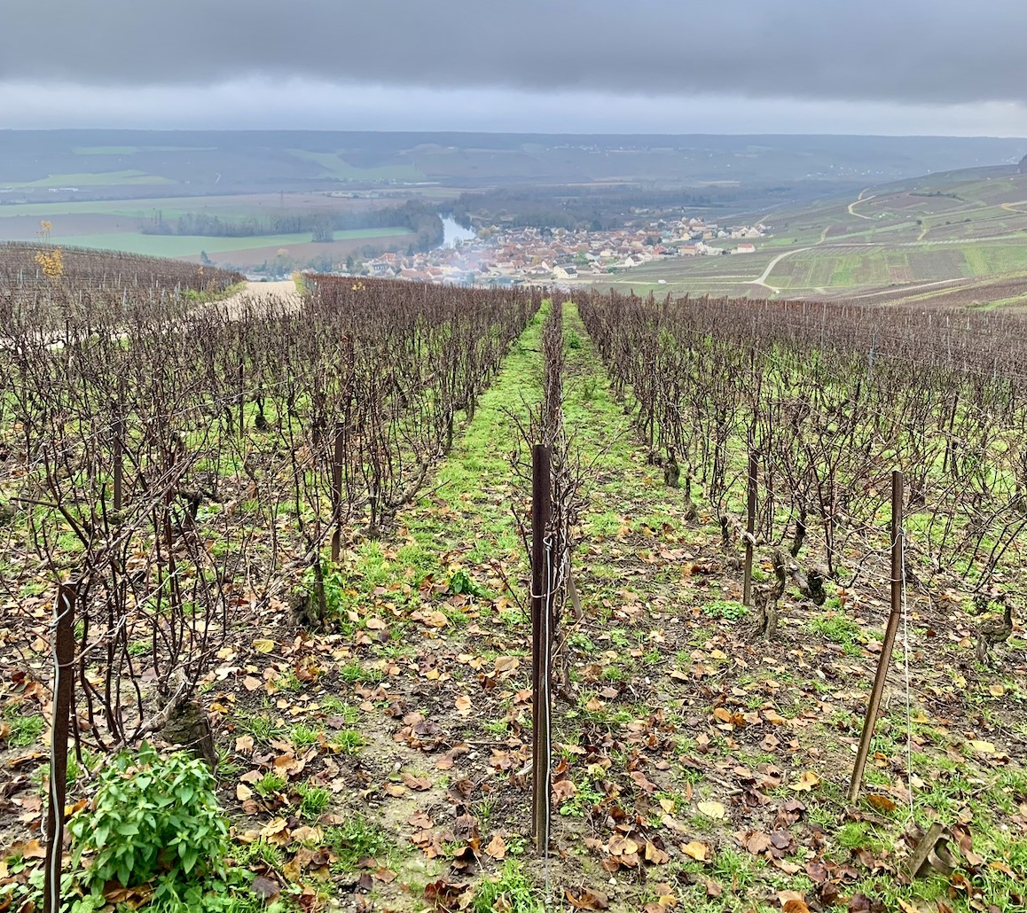 View over the vineyards of Hautvillers in France's Champagne region