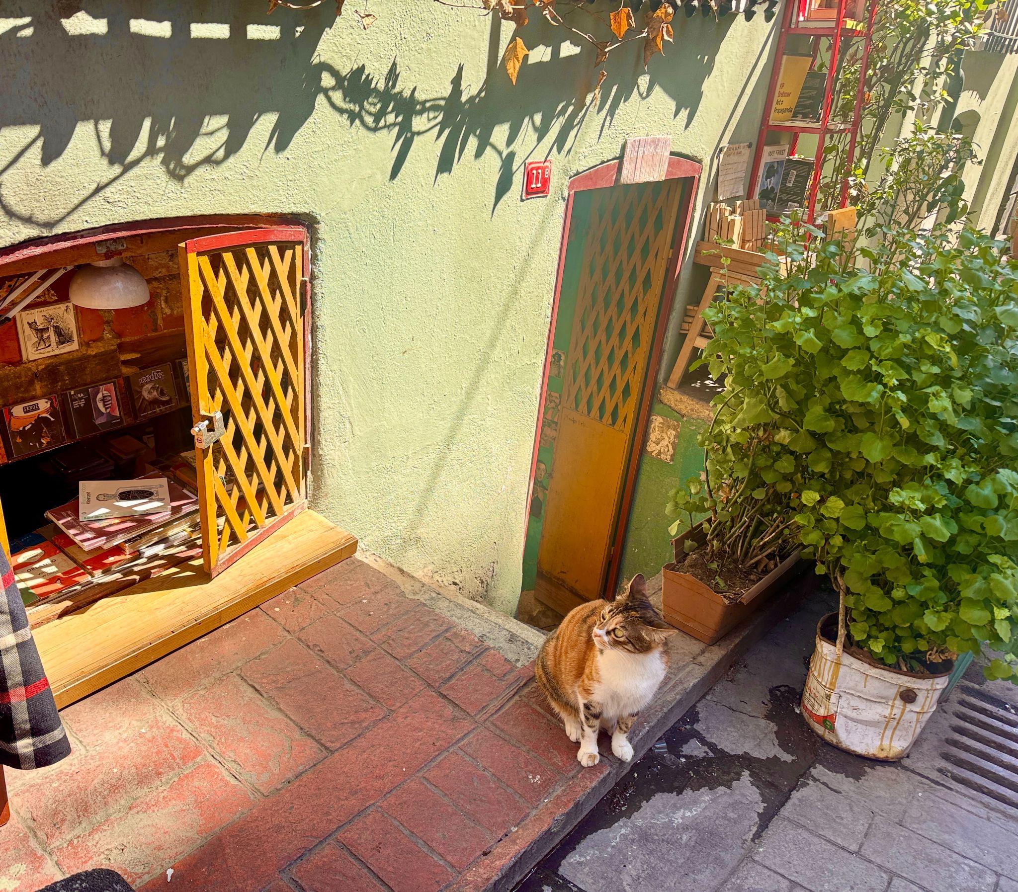 entrance to Fahrenheit 451 Recycling Store, Istanbul, Turkiye