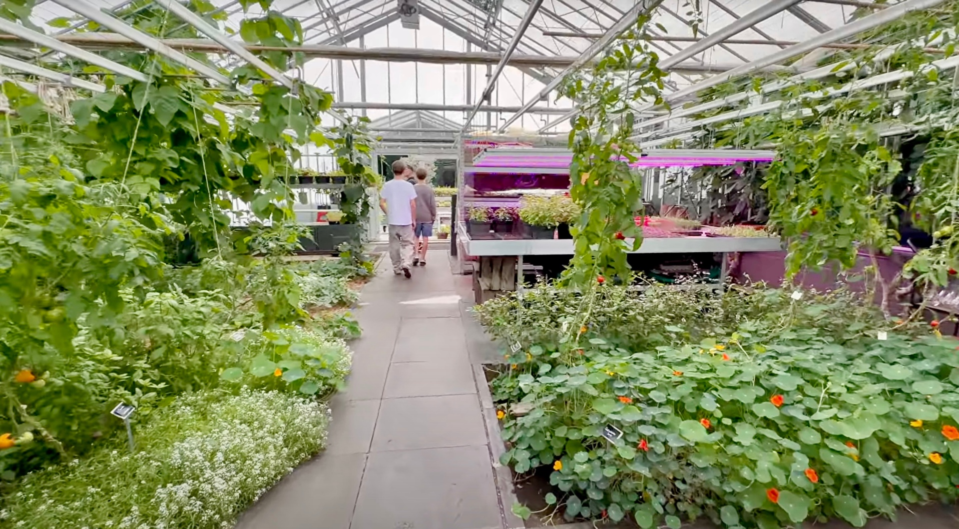 The lush greenhouse gardens at Restaurant De Kas in Amsterdam