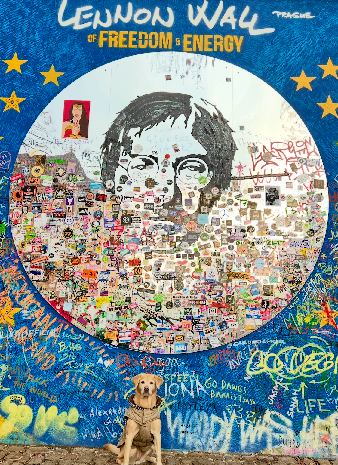 Bindi the Labrador mix sitting in front of the John Lennon Wall in Prague, Czech Republic