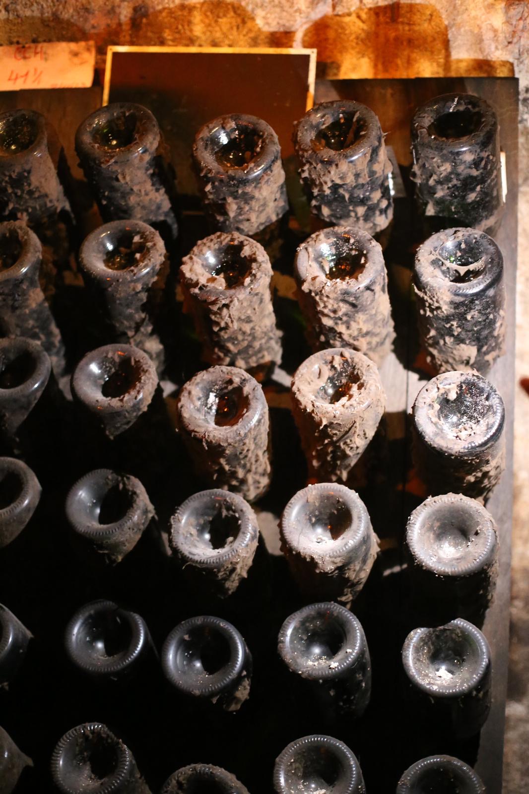 Close-up of dusty champagne bottles aging in the chalk cellars
