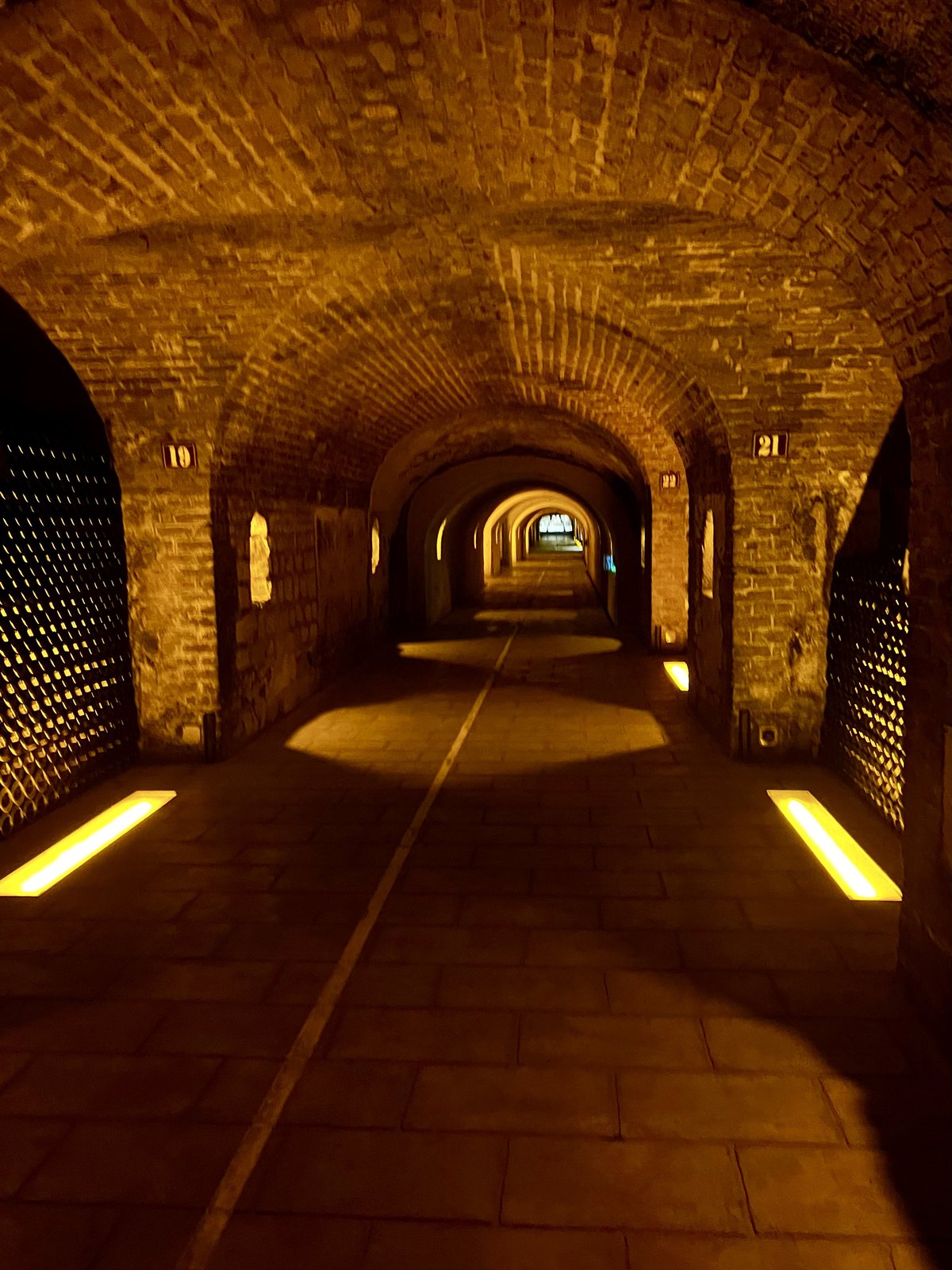 Atmospheric arched tunnel inside the Champagne caves with bottles aging behind iron gates