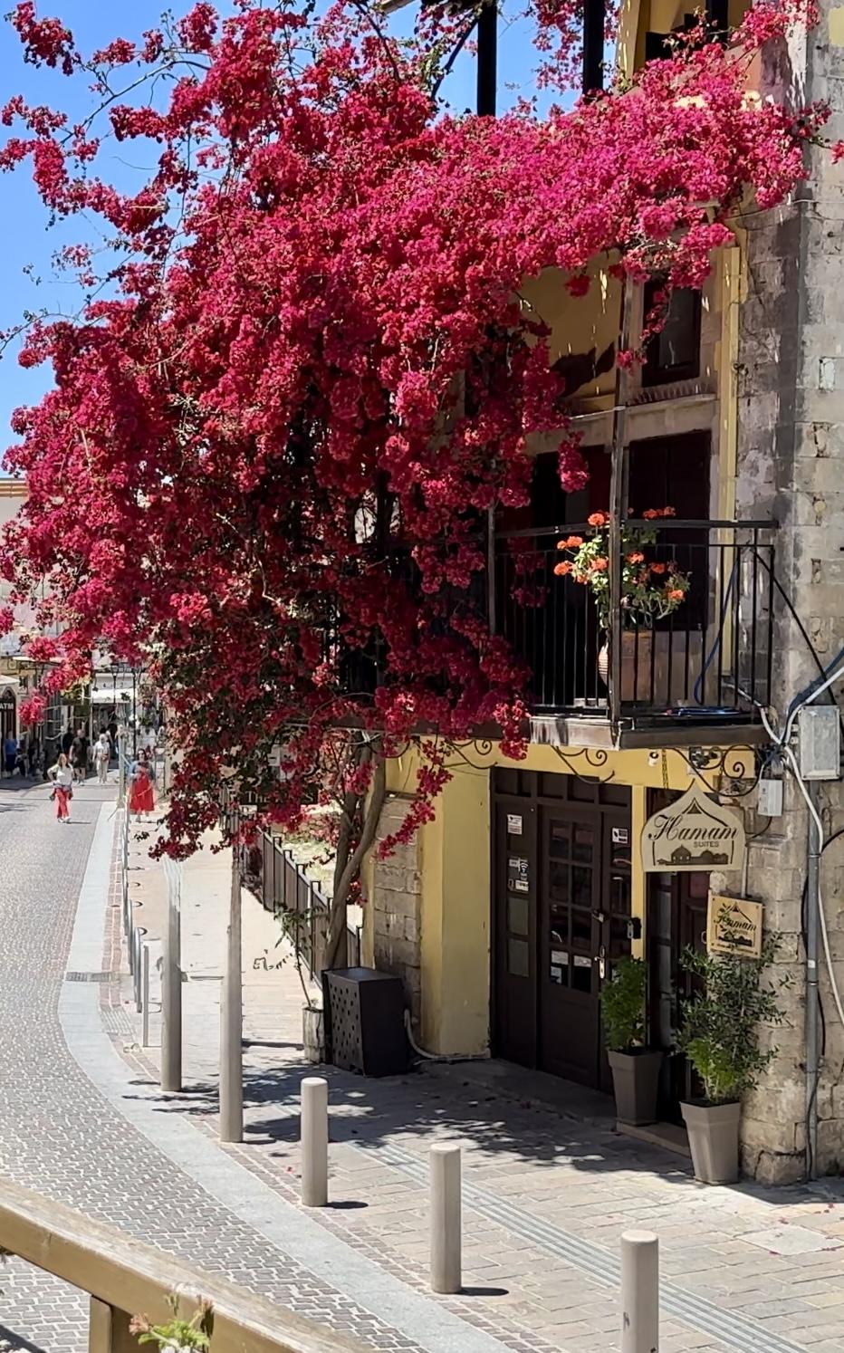 Bougainvillea-covered street in Chania Old Town, Crete