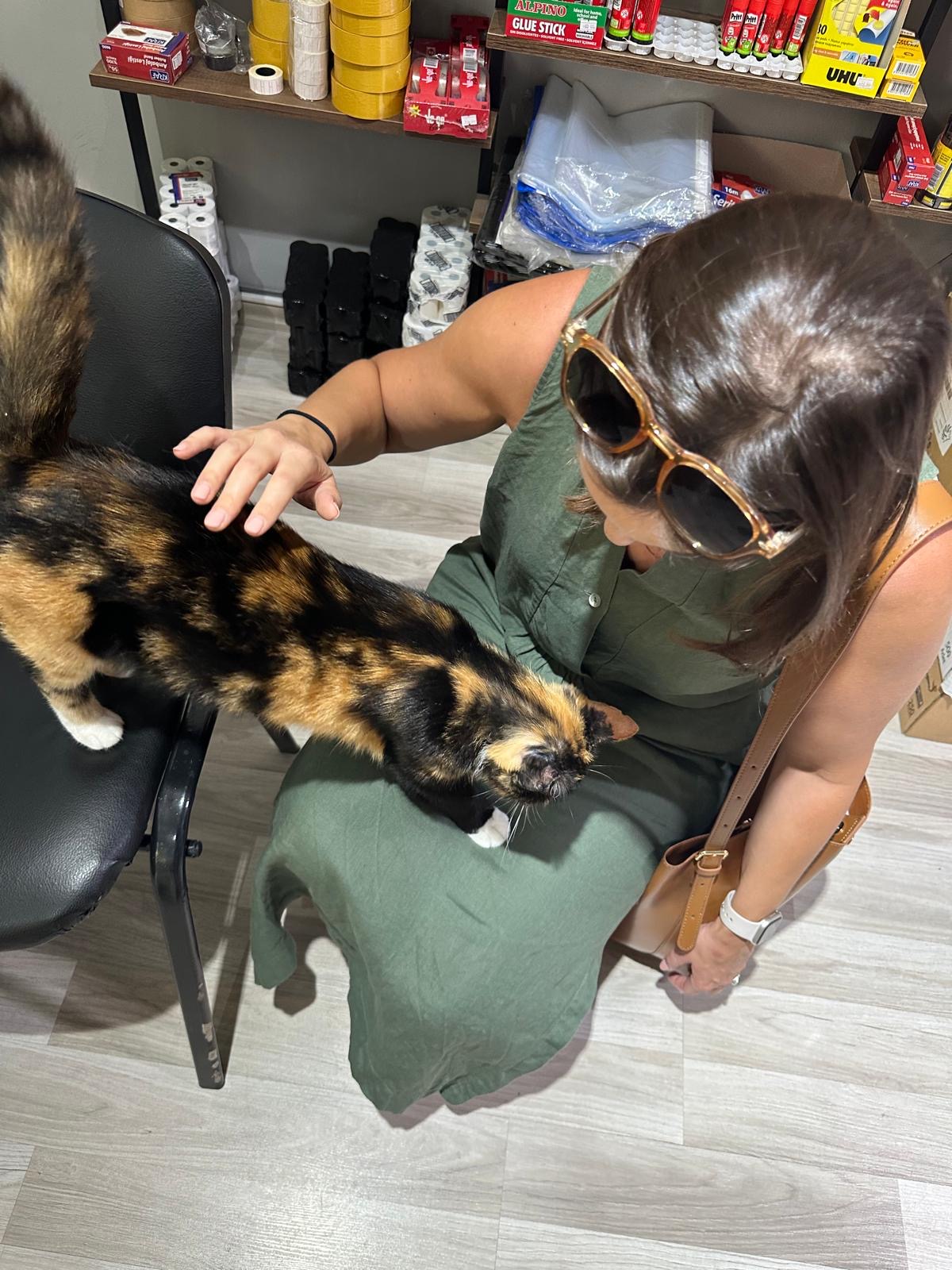 woman petting a cat in Istanbul