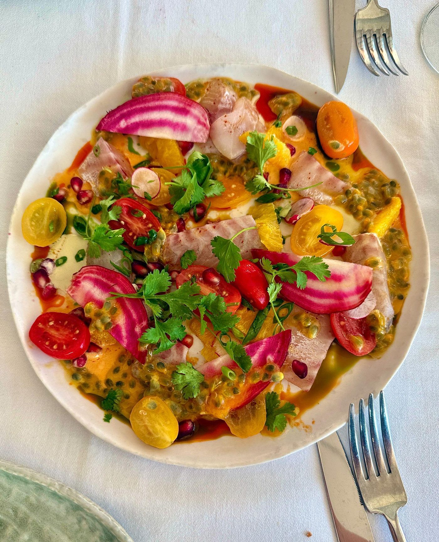 Sea bream ceviche, Castel Plage, Nice, France