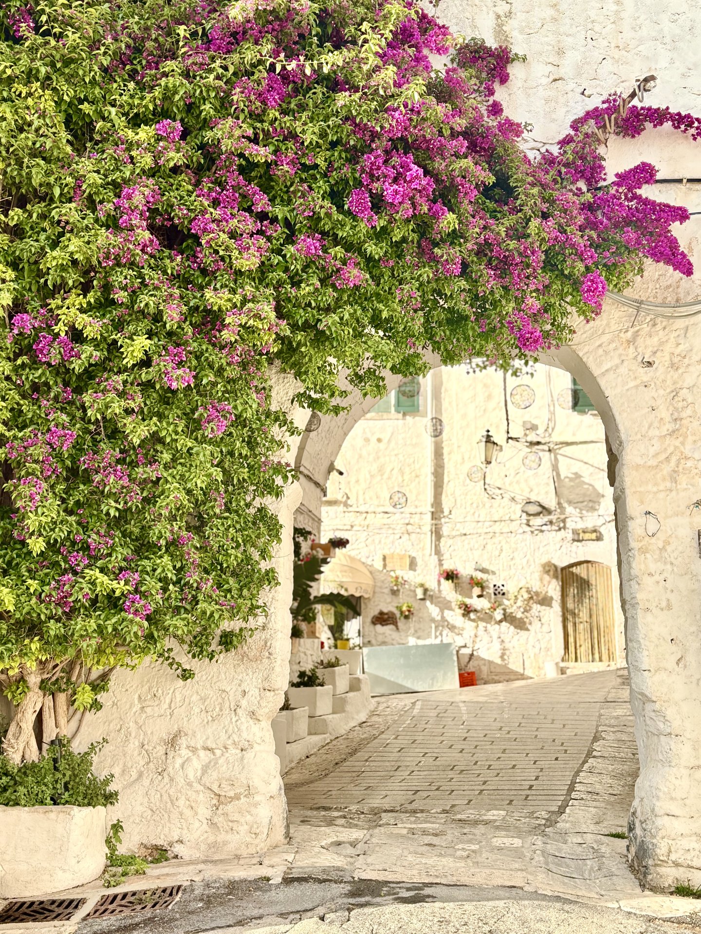 Purple bougainvillea cascading over a whitewashed stone archway in a Puglian town